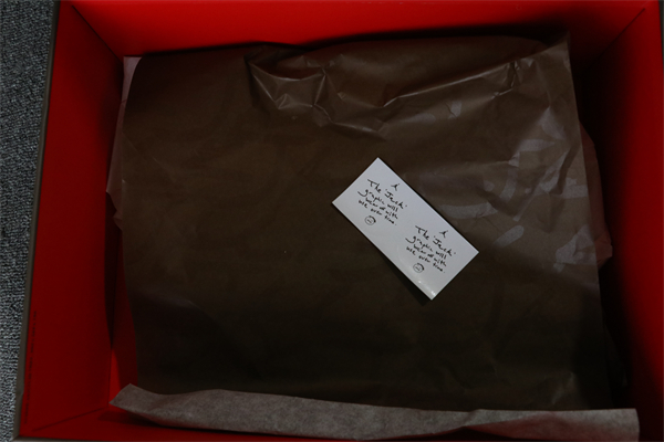 Travis Scott x Jordan Jumpman Cut The Check