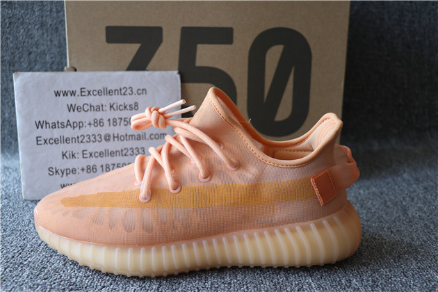 Yeezy Boost 350 V2 Mono Pack Clay GW2870