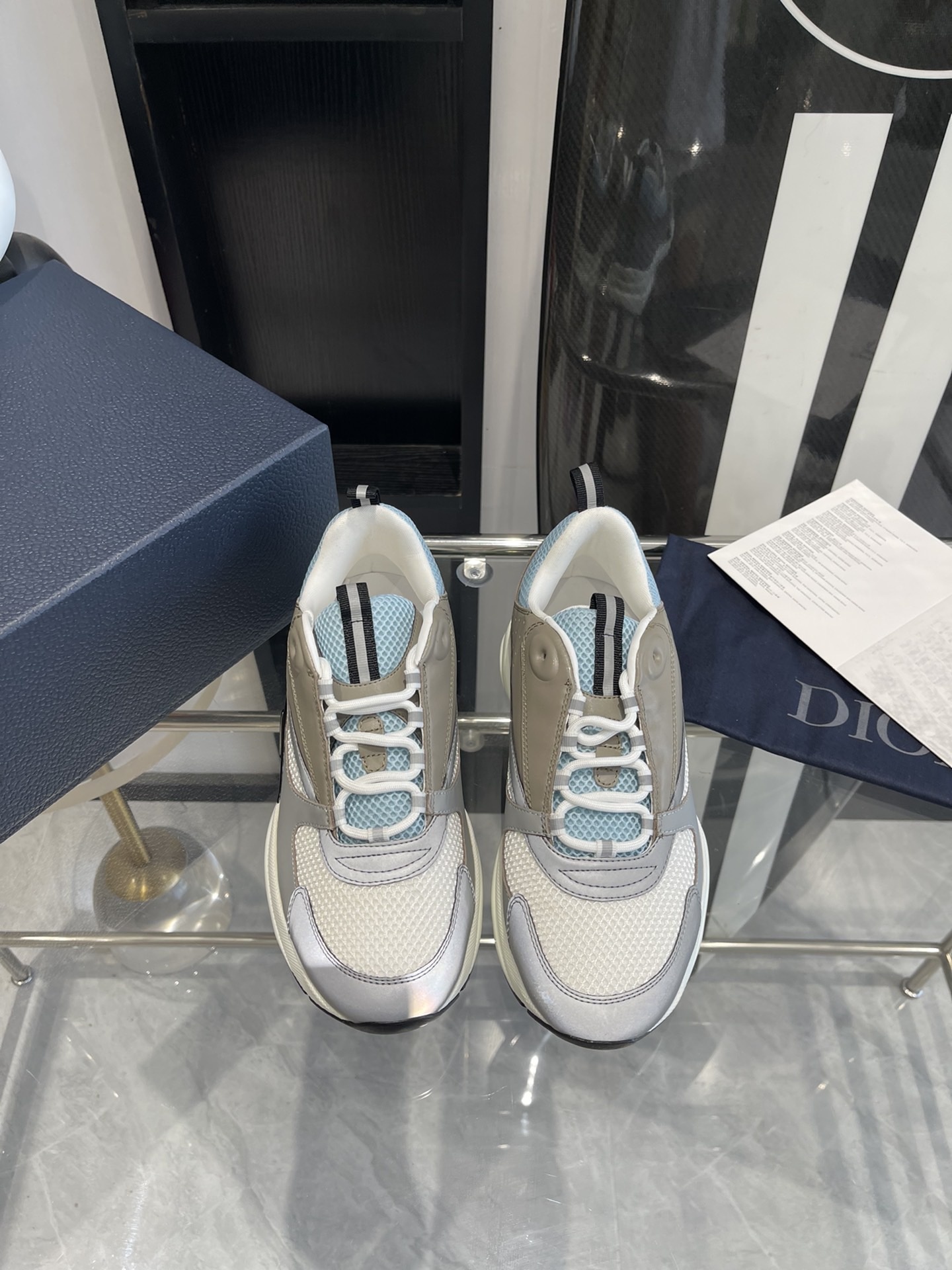 Dior B22 Sport shoes