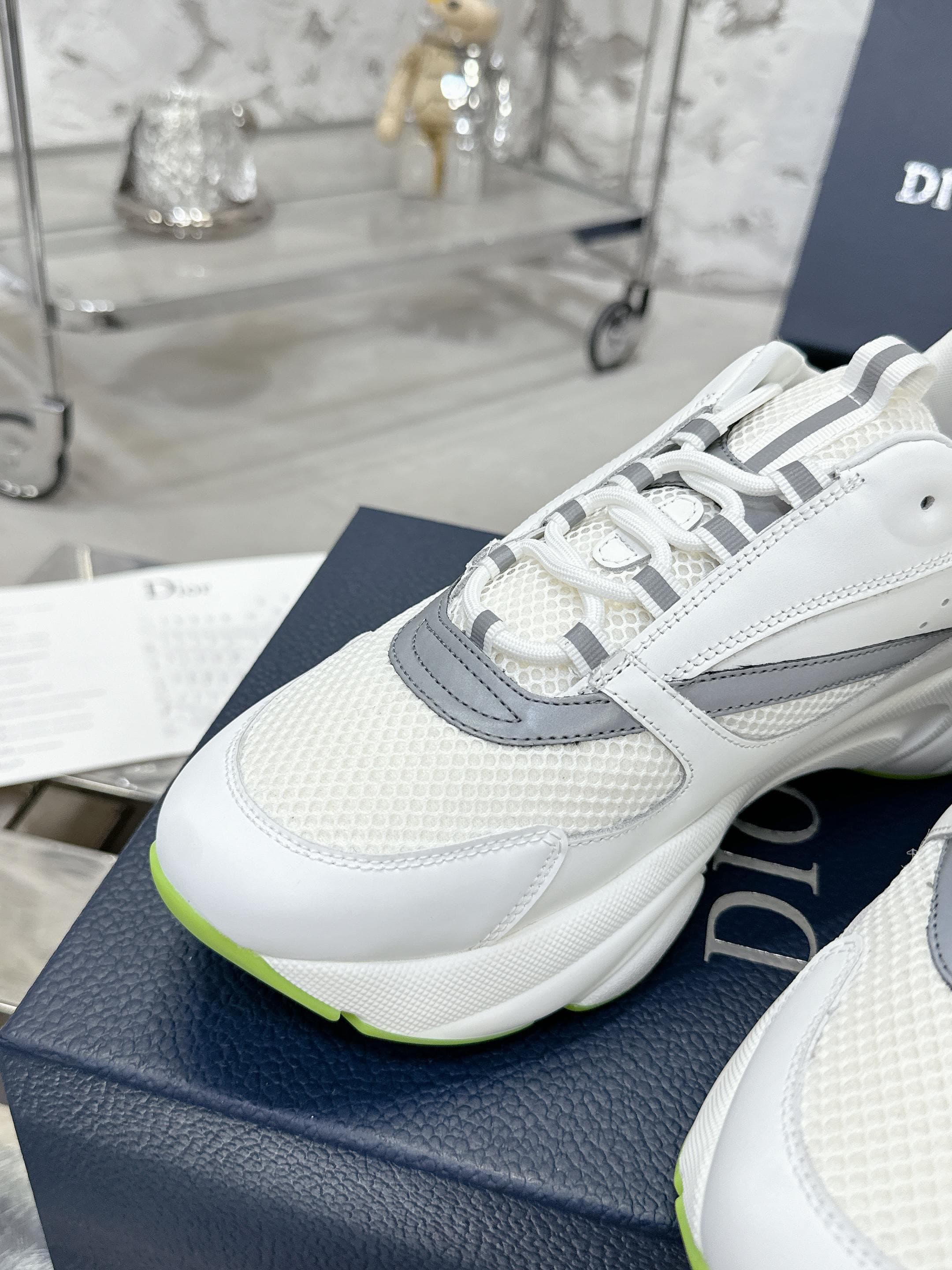 Dior B22 Sport shoes