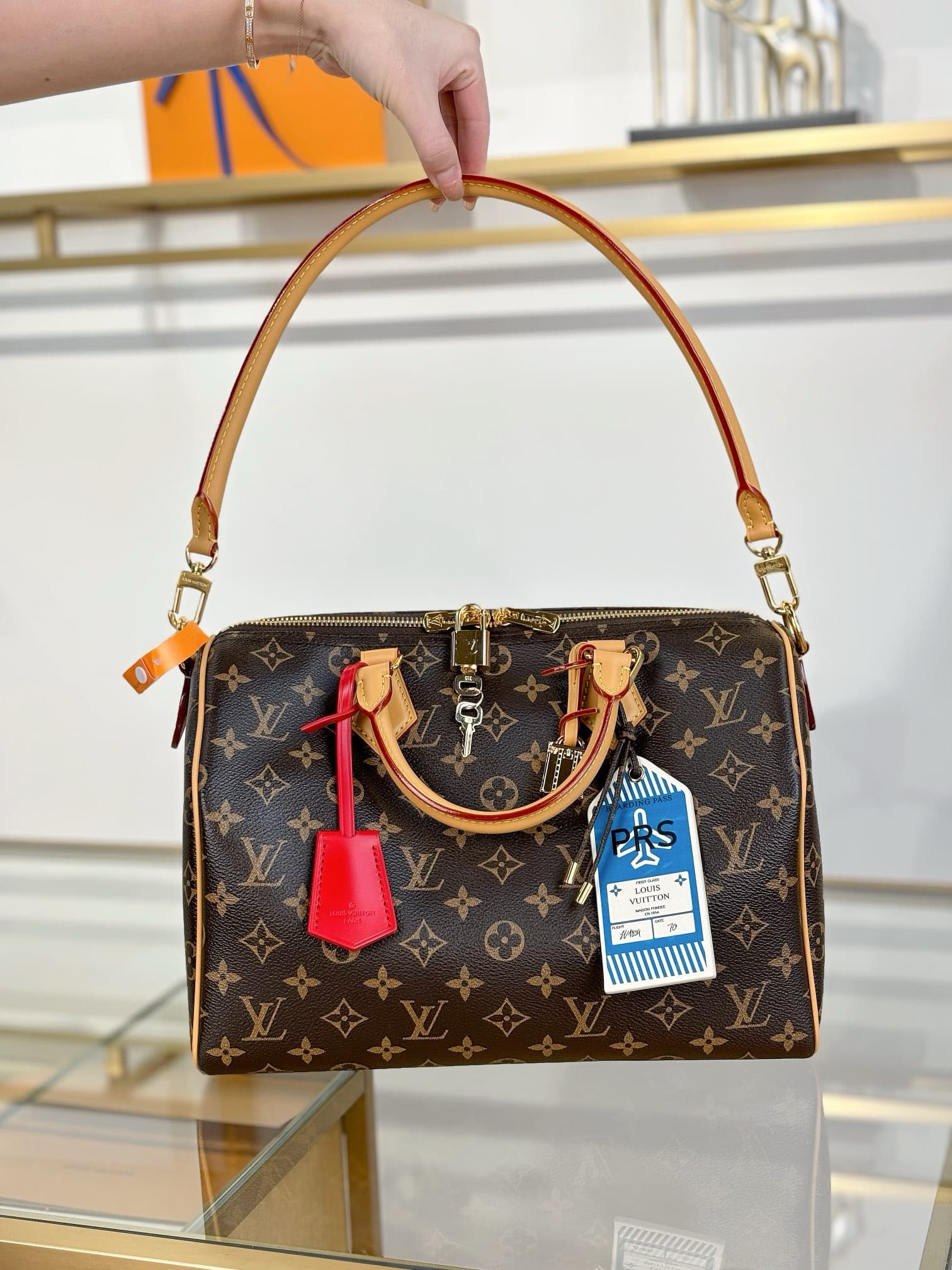 LV Carryall HandBag