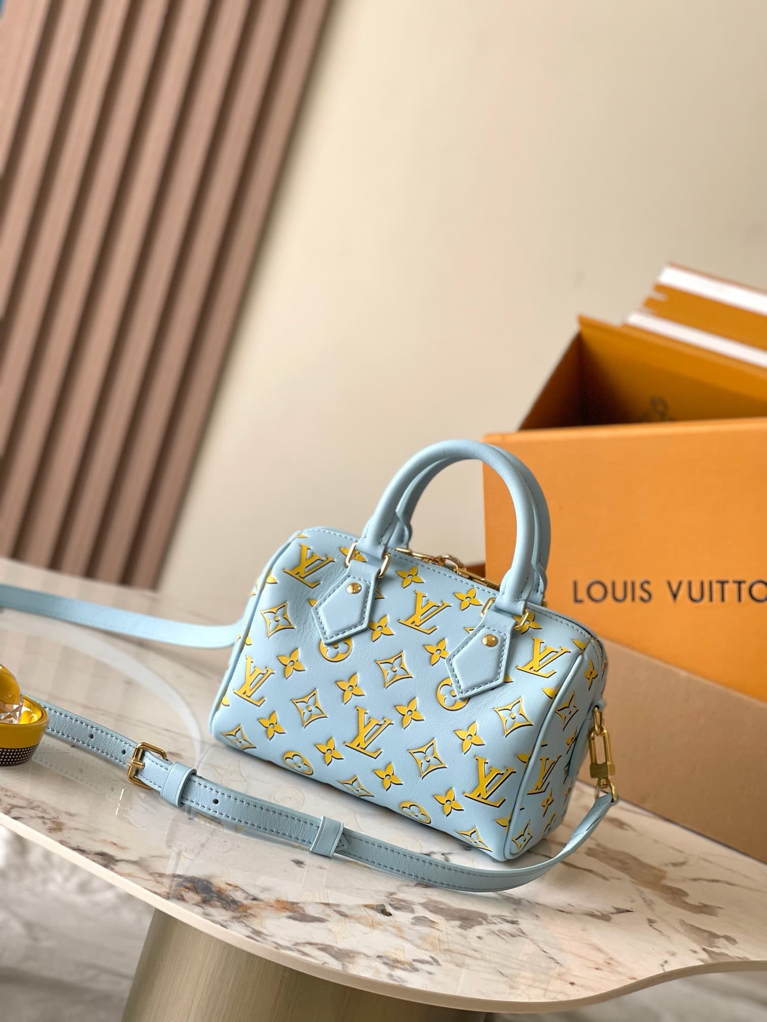 LV Bag Speedy 20 M25454