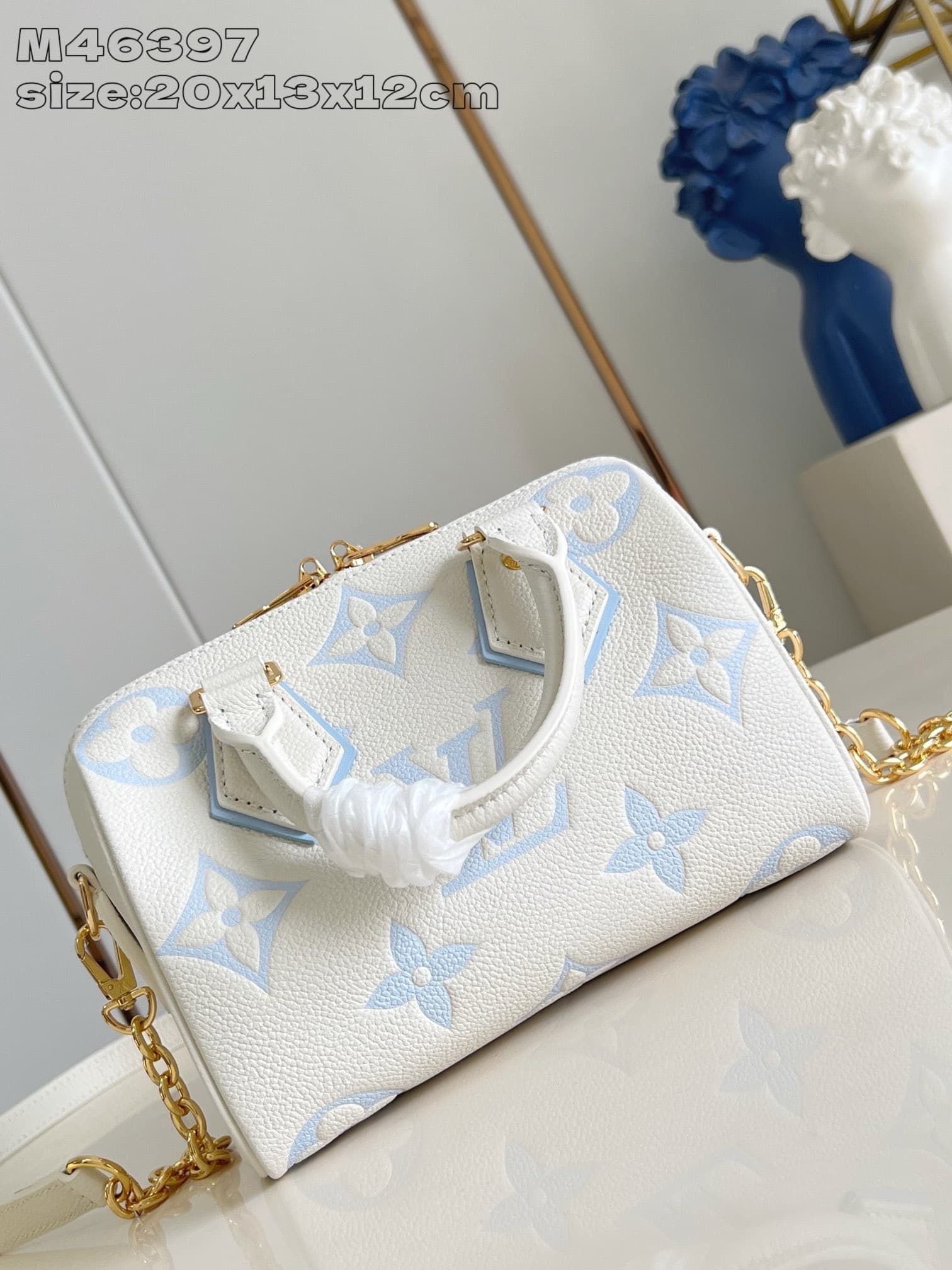 LV Bag Speedy 20 M46397