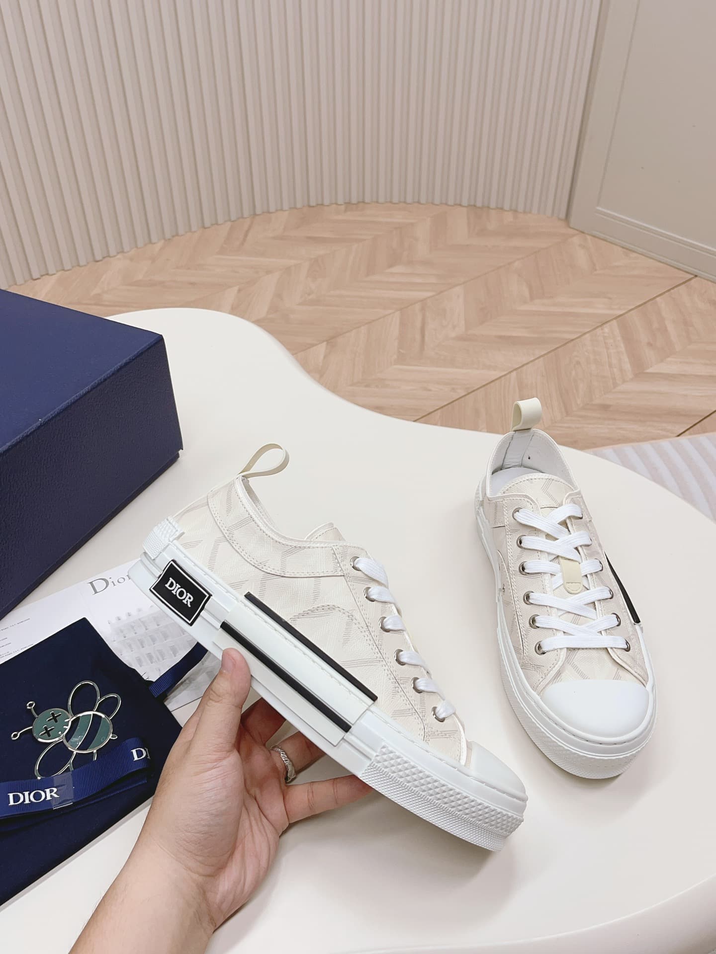 Dior Low B23 shoes