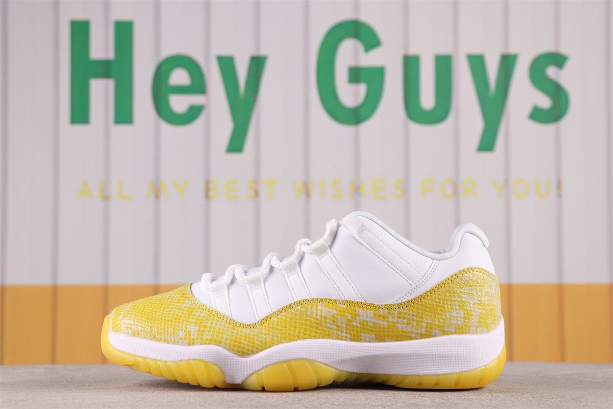 Nike Air Jordan 11 Low