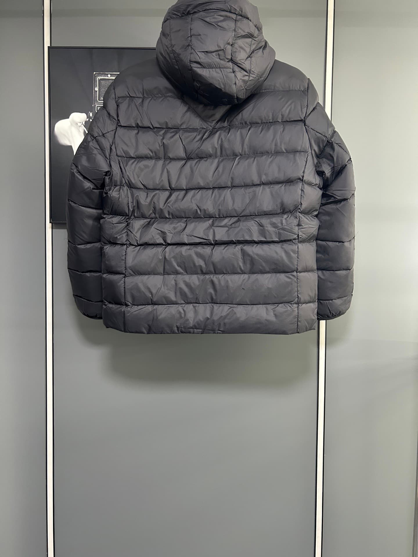 Canada Goose Down Jacket
