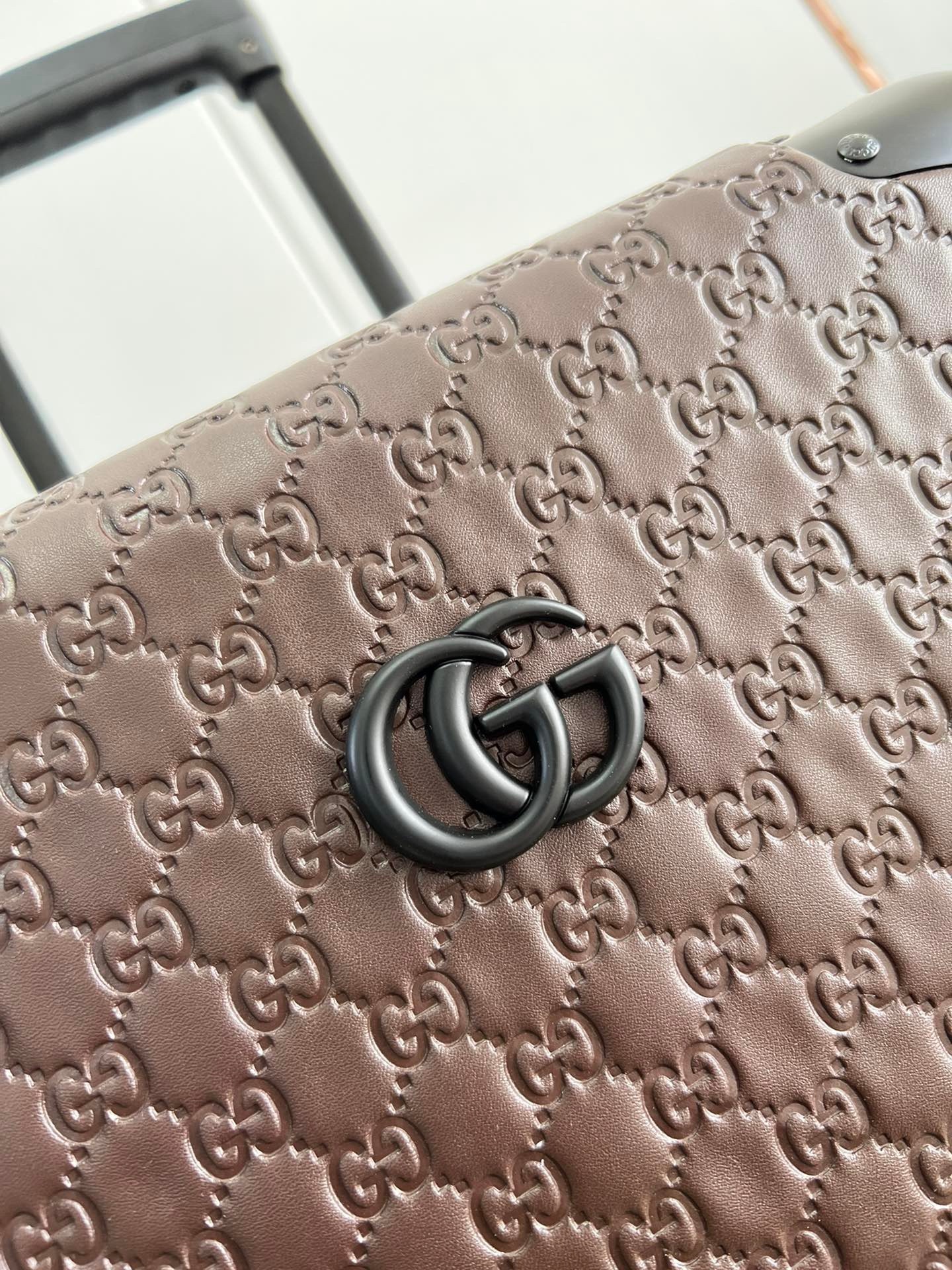 Gucci Suitcase Two Size（20/24 inches）