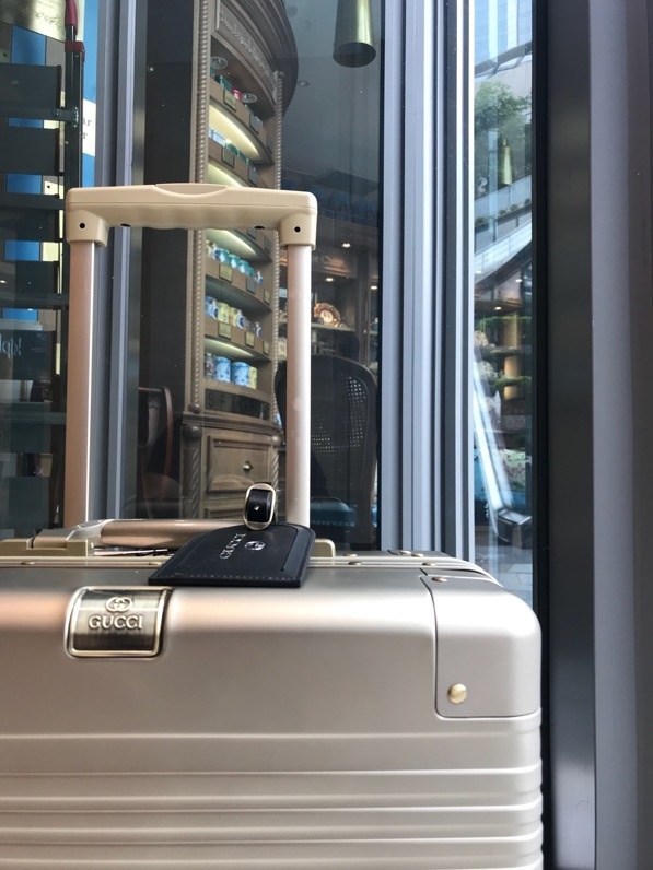 Gucci Suitcase Two Size（20/24 inches）