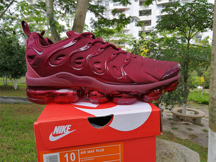 2018 Nike Air Vapormax Plus TN 030
