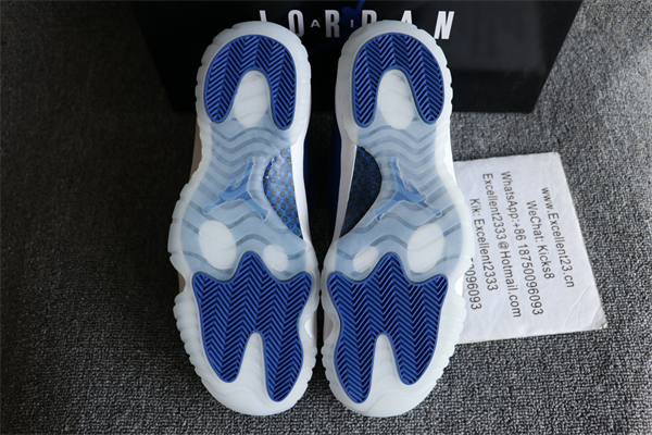 Nike Air Jordan 11 Panted Blue