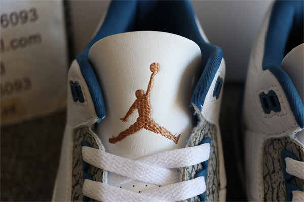 Nike Air Jordan 3 Retro Wizards