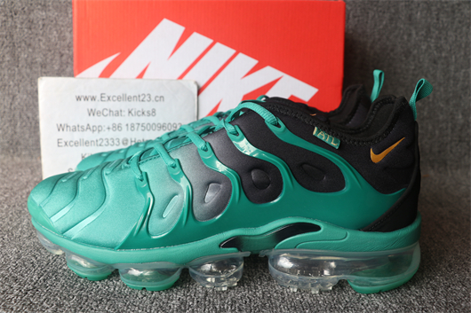 Nike Air Vapormax Plus TN 073