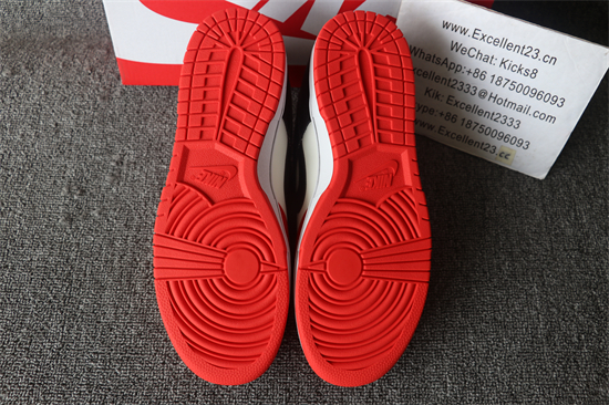 2021 Nike SB DUNK Low Chicago