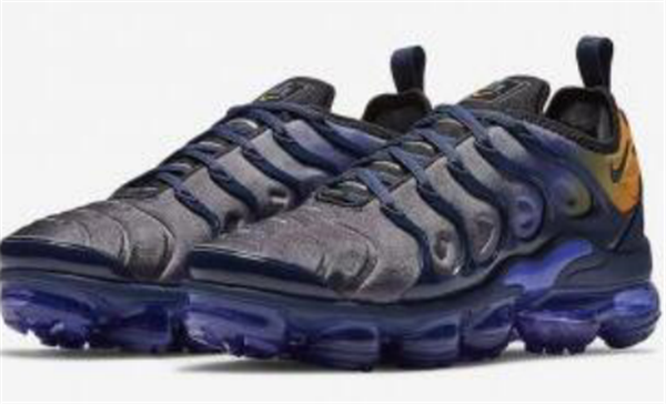 Nike Air Vapormax Plus TN 083
