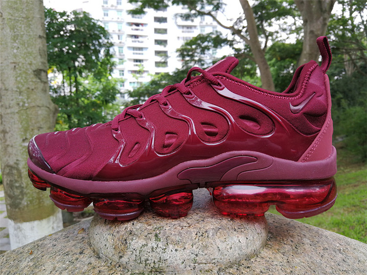 2018 Nike Air Vapormax Plus TN 030