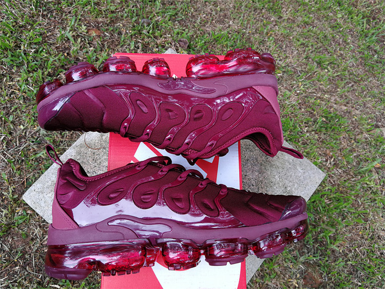 2018 Nike Air Vapormax Plus TN 030