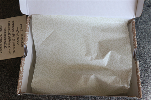 Nike Air Jordan 3 Desert Elephant