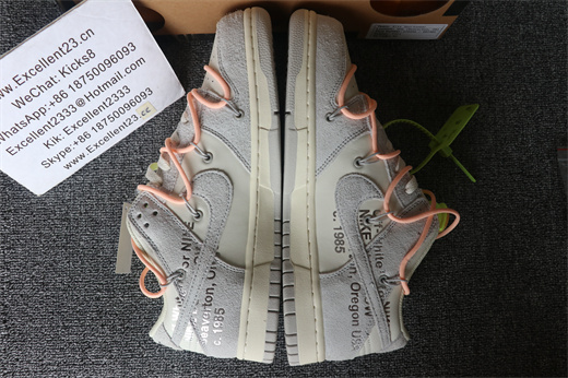 Off White x Futura x SB Dunk No.40