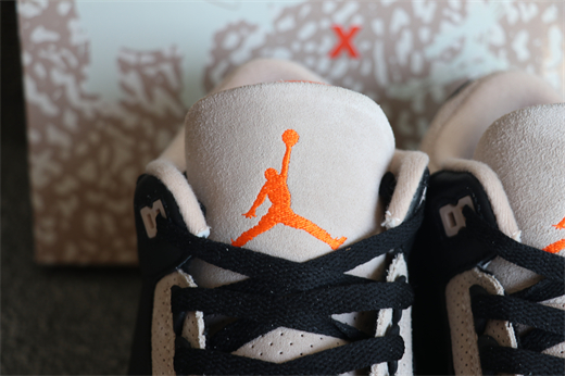 Nike Air Jordan 3 Desert Elephant