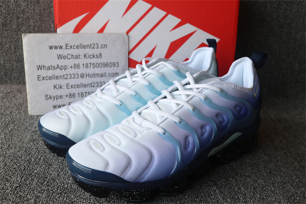 NikNike Air Vapormax Plus TN 079