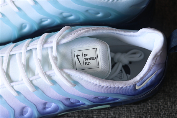 NikNike Air Vapormax Plus TN 079