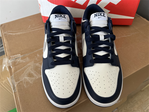 Nike SB DUNK LOW Blue Grey