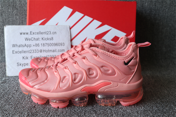 GS Nike Air Vapormax Plus TN 091