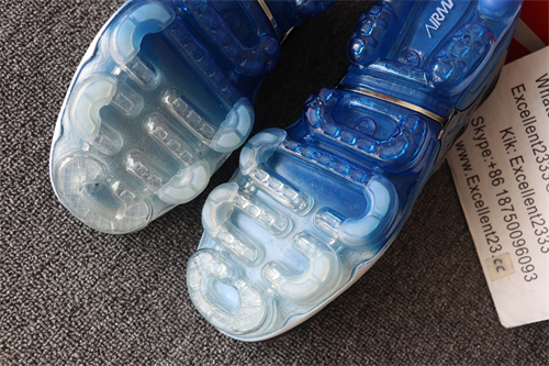 Nike Air Vapormax Plus TN 066