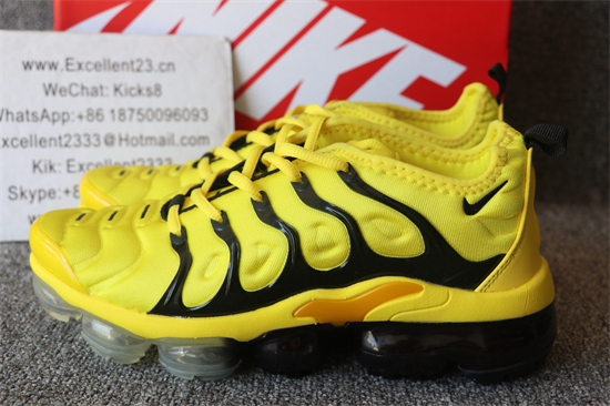 Nike Air Vapormax Plus TN 038