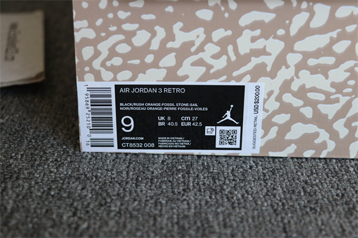 Nike Air Jordan 3 Desert Elephant