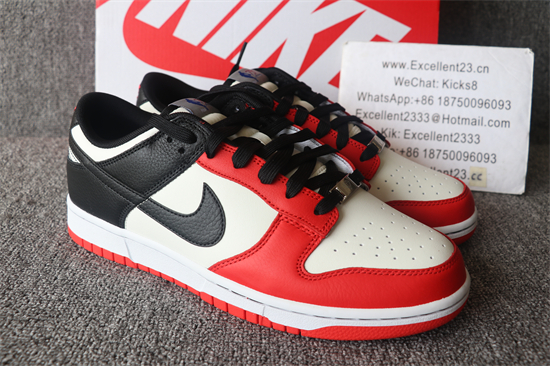 2021 Nike SB DUNK Low Chicago