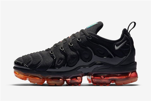 Nike Air Vapormax Plus TN 065