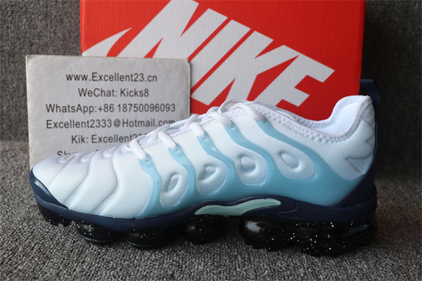 NikNike Air Vapormax Plus TN 079