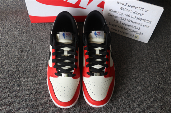 2021 Nike SB DUNK Low Chicago