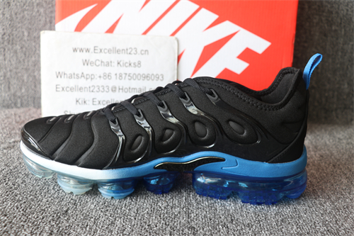 Nike Air Vapormax Plus TN 066