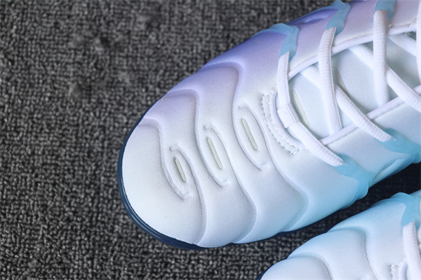 NikNike Air Vapormax Plus TN 079
