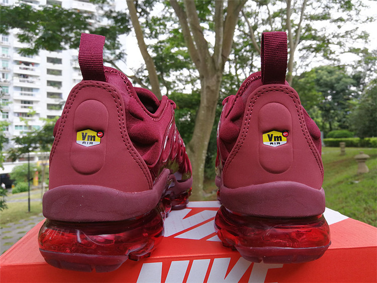 2018 Nike Air Vapormax Plus TN 030