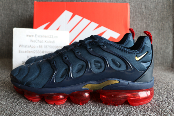 Nike Air Vapormax Plus TN 074