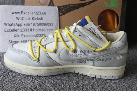 Off White x Futura x SB Dunk No.29