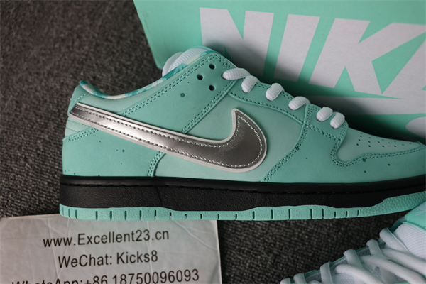 Tiffany x nike SB DUNK