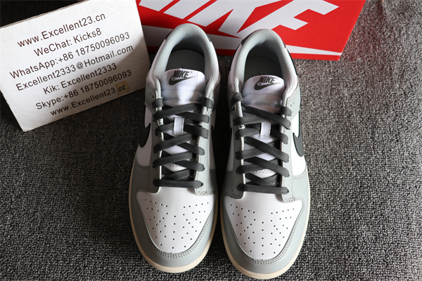 Nike SB Dunk Low Grey