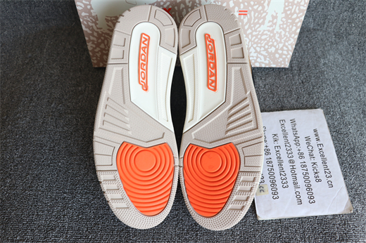 Nike Air Jordan 3 Desert Elephant