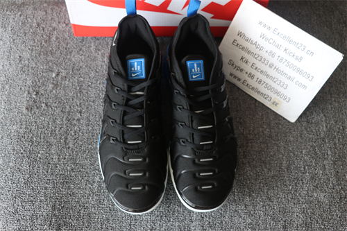 Nike Air Vapormax Plus TN 066