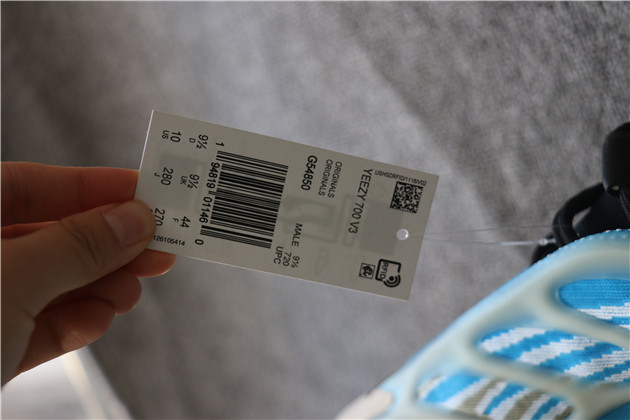 Adidas Yeezy Boost 700 v3 Arzareth G54850