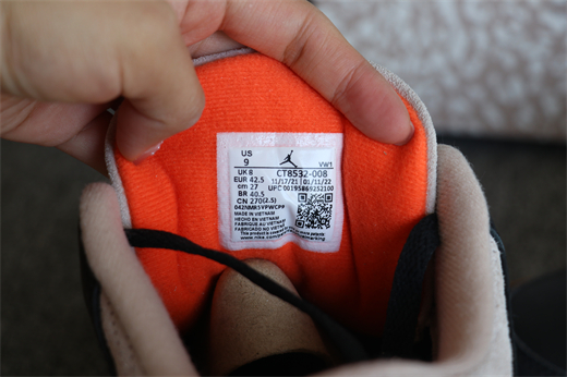 Nike Air Jordan 3 Desert Elephant