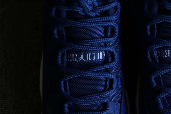 Nike Air Jordan 11 Panted Blue