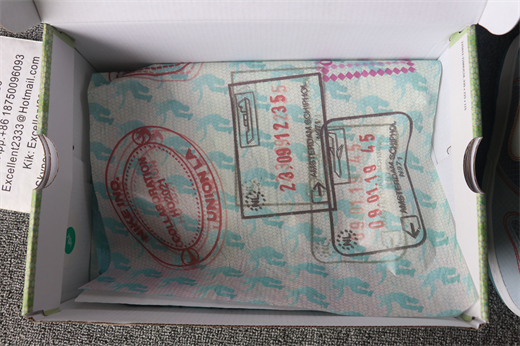 Union x Nike SB DUNK Low