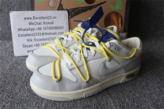 Off White x Futura x SB Dunk No.29