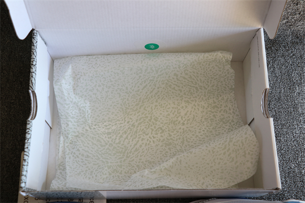 Nike Air Jordan 3 Retro Wizards