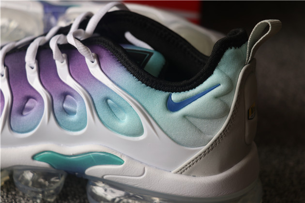 Nike Air Vapormax Plus TN 064